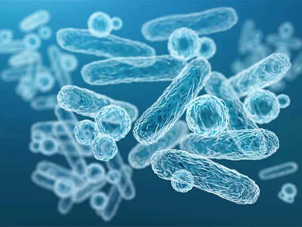 الصناعات البيولوجية