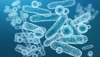 الصناعات البيولوجية