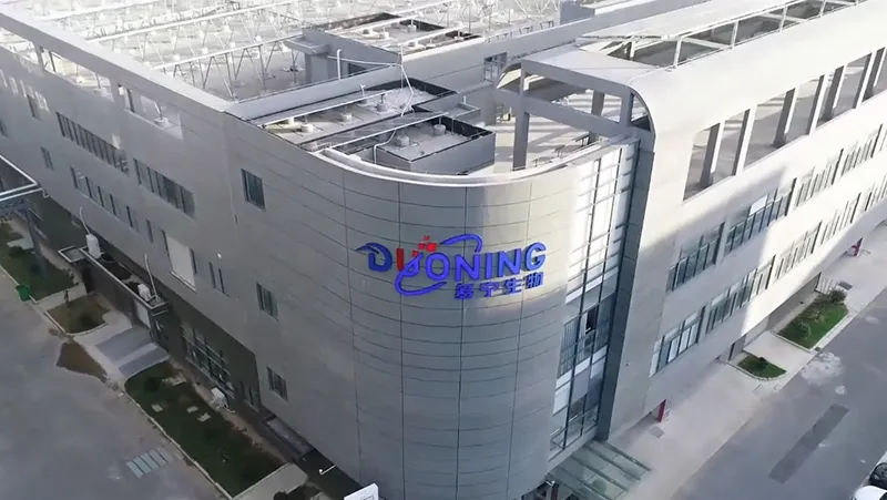 نبذة عن الشركة