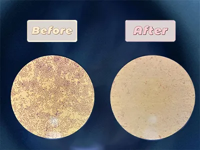  جامعة شنيانغ لعلوم الصيدلة